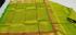 SAREES KPM SILK WITH BLOUSE